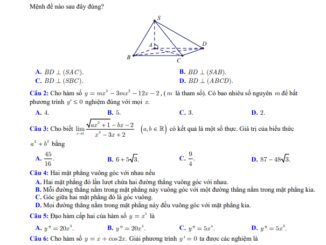Đề học kỳ 2 Toán 11 năm 2022 2023 trường THPT Trung An Cần Thơ