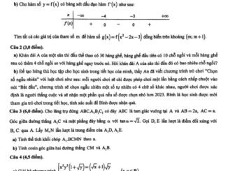 Đề học sinh giỏi tỉnh Toán 12 năm 2023 2024 sở GD&ĐT Nghệ An