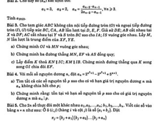 Đề HSG Toán 10 năm 2022 2023 trường chuyên Lương Thế Vinh Đồng Nai