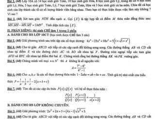 Đề thi HSG Toán 10 năm 2022 2023 trường THPT Nguyễn Thượng Hiền TP HCM