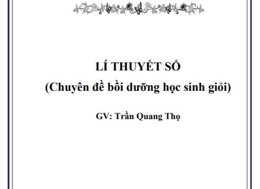Lí thuyết số (chuyên đề bồi dưỡng học sinh giỏi Toán THPT) Trần Quang Thọ