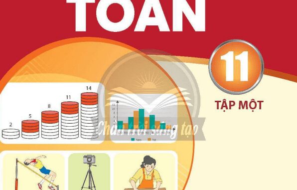 Sách bài tập Toán 11 (tập 1) (Chân Trời Sáng Tạo)