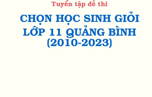 Tuyển tập đề thi học sinh giỏi Toán 11 sở GD&ĐT Quảng Bình (2010 2023)