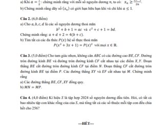 Đề chọn đội tuyển thi HSG QG môn Toán THPT năm 2024 2025 sở GD&ĐT Đồng Tháp