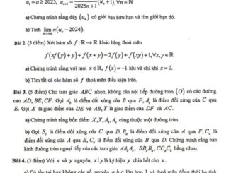 Đề chọn đội tuyển thi HSG QG môn Toán THPT năm 2024 2025 sở GD&ĐT Hà Tĩnh