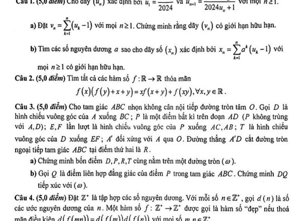 Đề chọn đội tuyển thi HSG QG môn Toán THPT năm 2024 2025 sở GD&ĐT Hưng Yên