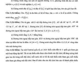Đề chọn đội tuyển thi HSG QG môn Toán THPT năm 2024 2025 sở GD&ĐT Lào Cai