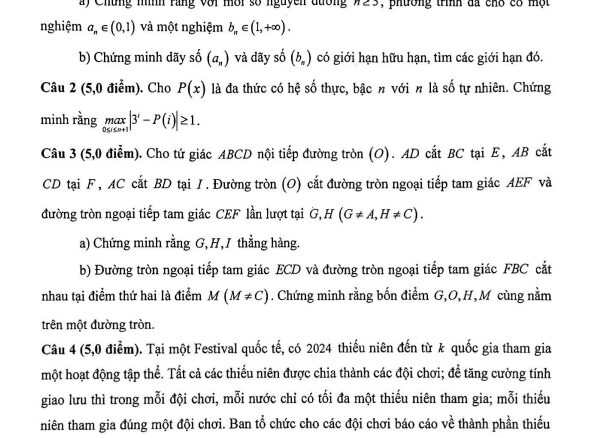 Đề chọn đội tuyển thi HSG QG môn Toán THPT năm 2024 2025 sở GD&ĐT Lào Cai