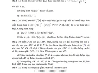 Đề chọn đội tuyển thi HSG QG môn Toán THPT năm 2024 2025 sở GD&ĐT Quảng Ngãi