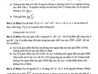 Đề chọn đội tuyển Toán năm 2024 2025 trường Phổ thông Năng khiếu TP HCM