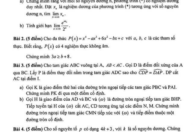 Đề chọn đội tuyển Toán năm 2024 2025 trường Phổ thông Năng khiếu TP HCM