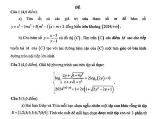 Đề chọn học sinh giỏi Toán 12 cấp tỉnh năm 2024 2025 sở GD&ĐT Bạc Liêu