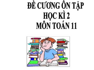 Đề cương HK2 Toán 11 năm 2020 2021 trường chuyên Lê Quý Đôn Khánh Hòa