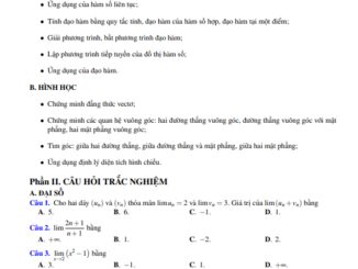 Đề cương HK2 Toán 11 năm 2020 2021 trường Phan Đình Phùng Quảng Bình