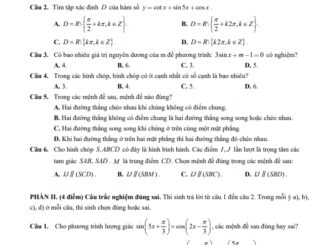 Đề giữa học kì 1 Toán 11 năm 2024 2025 trường THPT Lê Quý Đôn TP HCM