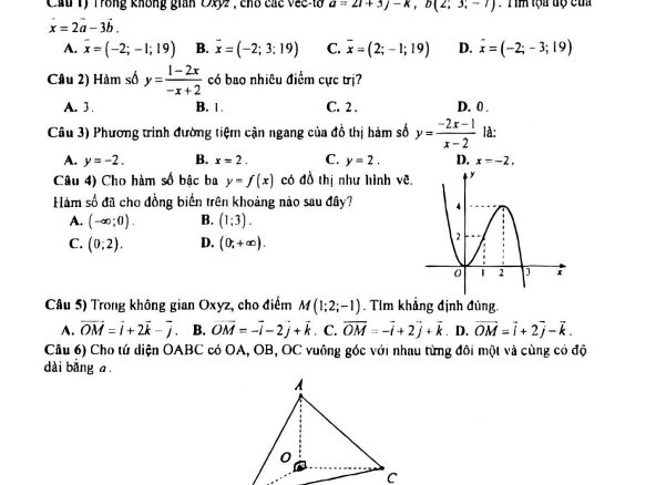 Đề giữa học kỳ 1 Toán 12 năm 2024 2025 trường THPT Trường Chinh TP HCM