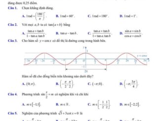 Đề giữa kì 1 Toán 11 năm 2024 2025 trường THPT Trần Hưng Đạo Nam Định