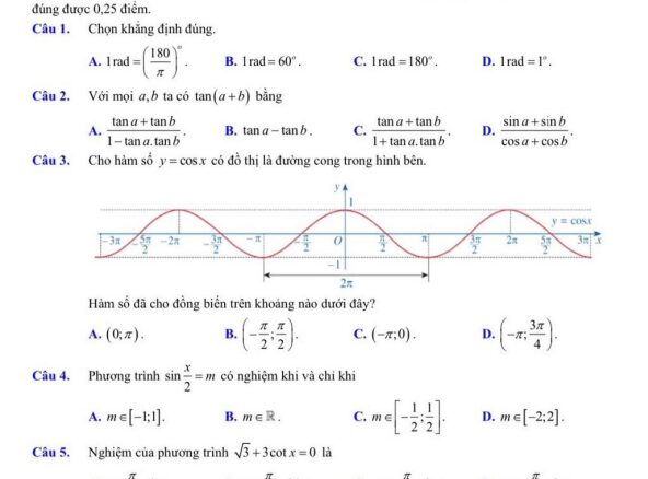 Đề giữa kì 1 Toán 11 năm 2024 2025 trường THPT Trần Hưng Đạo Nam Định