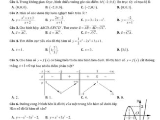 Đề giữa kì 1 Toán 12 năm 2024 2025 trường Nguyễn Khuyến & Lê Thánh Tông TP HCM