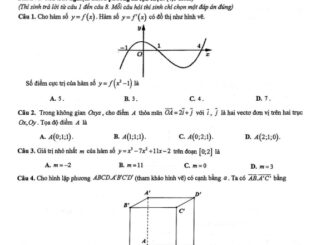 Đề giữa kì 1 Toán 12 năm 2024 2025 trường THPT Hùng Vương TP HCM
