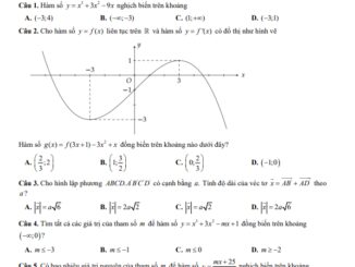 Đề giữa kì 1 Toán 12 năm 2024 2025 trường THPT Yên Lạc Vĩnh Phúc