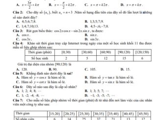 Đề giữa kỳ 1 Toán 11 năm 2024 2025 trường THPT Huỳnh Thúc Kháng Quảng Nam