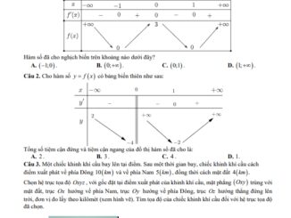 Đề giữa kỳ 1 Toán 12 năm 2024 2025 trường THPT Kim Sơn C Ninh Bình