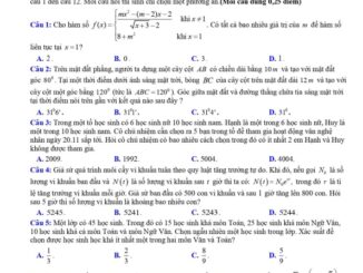 Đề khảo sát HSG Toán 12 đợt 2 năm 2024 2025 trường THPT Quỳnh Lưu 4 Nghệ An
