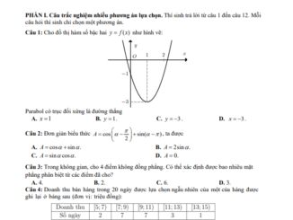 Đề khảo sát Toán 11 đầu năm 2024 2025 trường THPT Thuận Thành 1 Bắc Ninh