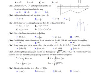 Đề khảo sát Toán 12 lần 2 năm 2020 2021 trường Nguyễn Đức Cảnh Thái Bình