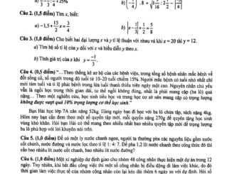 Đề kiểm tra học kỳ 1 Toán 7 năm 2019 2020 phòng GD&ĐT Quận 3 TP HCM THCS.TOANMATH.com