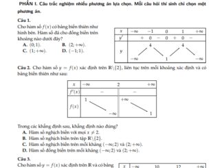 Đề kiểm tra theo bài học ứng dụng đạo hàm để khảo sát và vẽ đồ thị hàm số