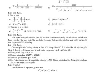 Đề ôn tập Toán 7 tháng 02/2020 trường THPT chuyên Hà Nội – Amsterdam THCS.TOANMATH.com