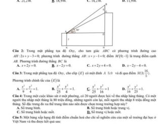 Đề tham khảo chọn HSG tỉnh Toán 12 năm 2024 2025 sở GD&ĐT Phú Thọ