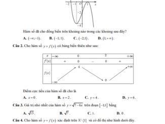 Đề tham khảo giữa kỳ 1 Toán 12 năm 2024 2025 trường THPT Lương Ngọc Quyến Thái Nguyên