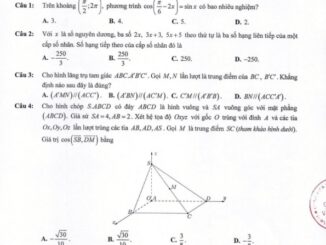 Đề tham khảo học sinh giỏi Toán 12 năm 2024 2025 sở GD&ĐT Hải Phòng