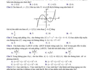 Đề tham khảo thi HSG Toán 12 cấp tỉnh năm 2024 2025 sở GD&ĐT Ninh Bình