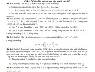 Đề thi chọn học sinh giỏi Toán 10 Trại hè Hùng Vương lần thứ 18 năm 2024