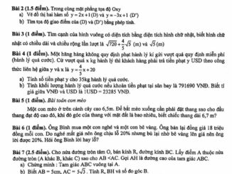 Đề thi HK1 Toán 9 năm 2019 2020 phòng GD&ĐT Thủ Đức TP HCM THCS.TOANMATH.com