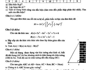 Đề thi HK2 Toán 7 năm học 2019 2020 trường THCS Quang Trung TP HCM THCS.TOANMATH.com