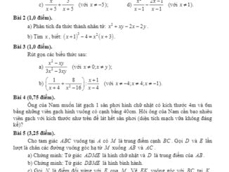 Đề thi học kì 1 Toán 8 năm 2019 2020 phòng GD&ĐT Phú Mỹ BR VT THCS.TOANMATH.com