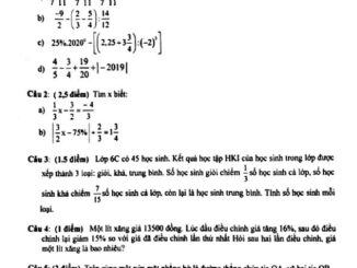 Đề thi học kỳ 2 Toán 6 năm 2019 2020 trường THCS Minh Đức TP HCM THCS.TOANMATH.com