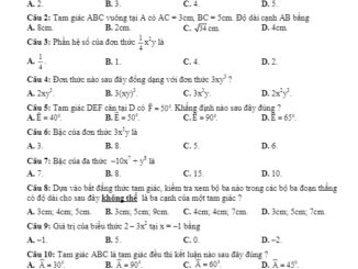 Đề thi học kỳ 2 Toán 7 năm học 2019 – 2020 sở GD&ĐT Quảng Nam THCS.TOANMATH.com