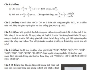 Đề thi học sinh giỏi Toán 11 năm 2024 2025 trường THPT Bình Chiểu TP HCM