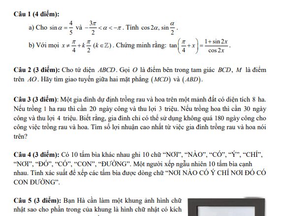 Đề thi học sinh giỏi Toán 11 năm 2024 2025 trường THPT Bình Chiểu TP HCM