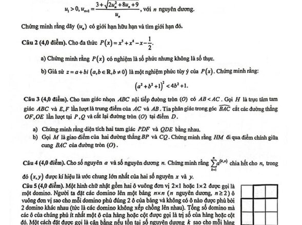 Đề thi HSG Toán 11 lần 15 năm 2024 hội các trường THPT chuyên DH&ĐB Bắc Bộ
