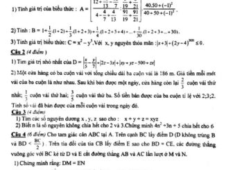 Đề thi HSG Toán 7 năm 2019 2020 phòng GD&ĐT Lục Nam Bắc Giang THCS.TOANMATH.com