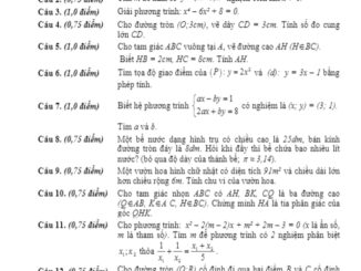 Đề tuyển sinh lớp 10 THPT môn Toán năm 2020 2021 sở GD&ĐT Lâm Đồng THCS.TOANMATH.com