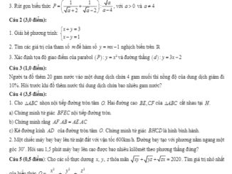 Đề tuyển sinh lớp 10 THPT môn Toán năm 2020 2021 sở GD&ĐT Ninh Bình THCS.TOANMATH.com