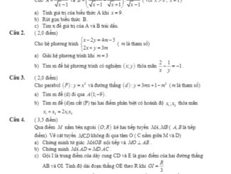 Đề tuyển sinh lớp 10 THPT môn Toán năm 2020 2021 sở GD&ĐT Thái Bình THCS.TOANMATH.com